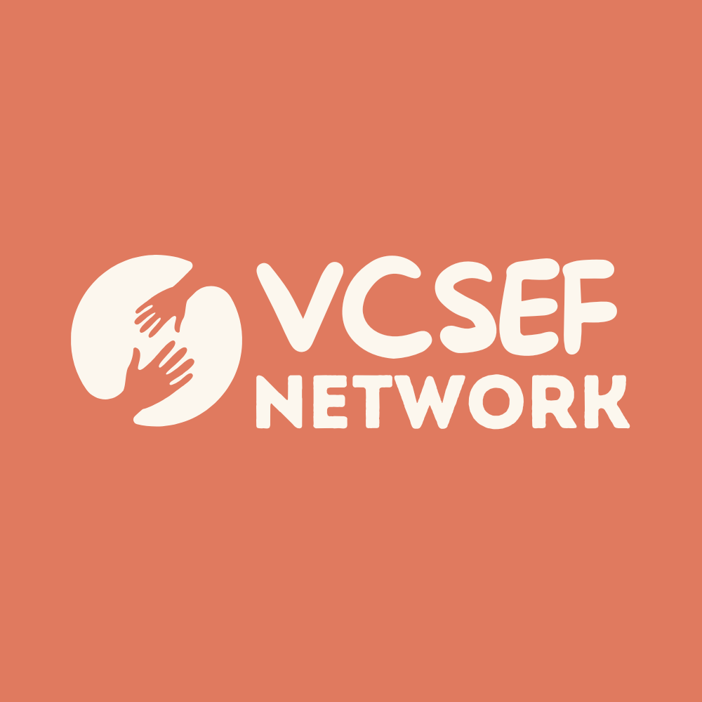 VCSEF Network Logo